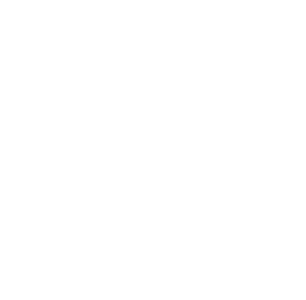 physical therapy logo